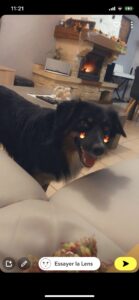 497BA132-5F01-40C8-A333-CD68CBF7CB49