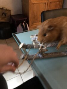 97AA99C2-A73B-4C0C-9963-2795D2C87F03