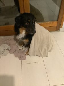 E45161FE-F6D9-4F1B-8D7C-3C10F29A940A